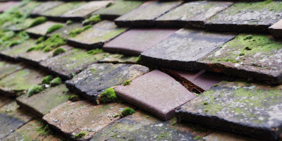 Wolverton roof repair costs